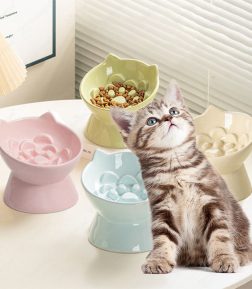 OEM ODM Factory Wholesale Slanted Ears Slow Food Pet Cat Bowl
