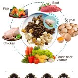 Hbded1eb869cd452ebab4fcde2d279f22Y