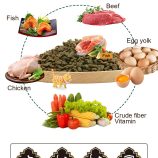 Hc0d8d6b4315a40bd91799025663d69e02