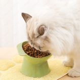 Hc2f27c01f318415fbc864f964c09b721s