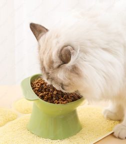 Factory Manufacturer Wholesale  Anti-Spill Safety Pet Bowl  Feeders for Dogs