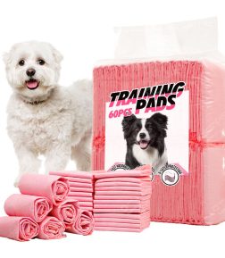 Popular Newest Product High AbsorptionNon-woven Fabric Deodorization Training Pee Pads for Dogs