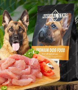 Factory Direct Sales Free Samples Nutrient High Protein Meat Healthy Pet Dry Dog Food
