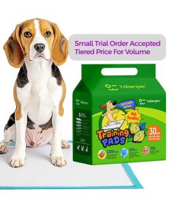 High Quality Bulk Discounts Flexible Payment Terms Polymer SAP Non-Woven Fabric Disposable Pet Dog Pee Pad