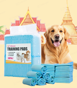 Factory Wholesale Price Multi-Functional Easy Cleanup Convenient Absorbent Pet Training Pee Pads for Dogs