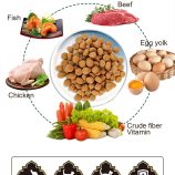 Hd72a37dbc79144859950b8dc20ab18d4x