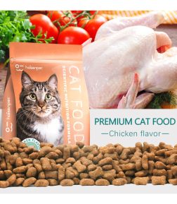 OEM  Factory Exports Cat Food Star Shapes 10KG Natural Raw Chicken Flavors  All Age Pet Cat Dry Food