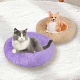 Hdcd0248cae654833b0fe23e432cafecfF