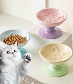 Popular Newest Product Ceramic Eco-Friendly Anti-Spill Slow Food Pet Cat Bowl