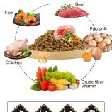 Heac10476a1ed4b108b6d4a3ac341d231a