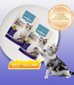 OEM ODM Factory Wholesale Hypoallergenic All-Natural High Protein Fresh Meat Rich Omega-3 Pouch Wet Food for Cats