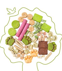 Free Samples Custom OEM ODM Cat Treats Training Rewards Dog Treats Various Flavors High Protein Freeze Dried Pet Snacks