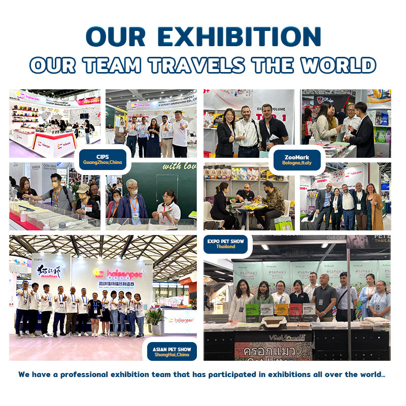 Hf881b4f594874feb8372d26910364321o Hf881b4f594874feb8372d26910364321o