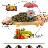 Hf8b834e553b44c1f8e80f17e4b424a37A