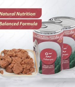 OEM ODM 48 Hour Shipping All-Natural Ingredients Complete and Balanced Nutrition Fortified with Vitamins Pet Wet Dog Food