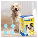 S70e9f80aa3c54f038e0c8c5542a2d5c6J