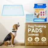 S87f11004f8374a2fb940fbae31c4fb1cO