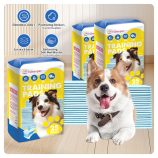 Sa38cbdafa97d45de8727dcb236096cedp