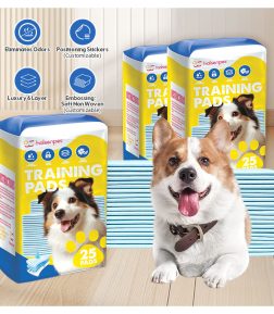Factory OEM ODM Cheap Price Leak-Proof 5-Layer Pee Pads for Dogs