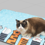 Sf19bb3e4577943c7af1a1cda77d43b6eR